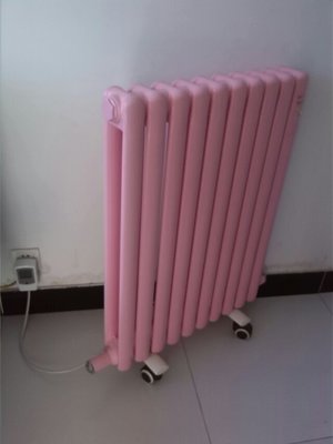 冬日溫暖守護 電暖器的挑選與使用指南